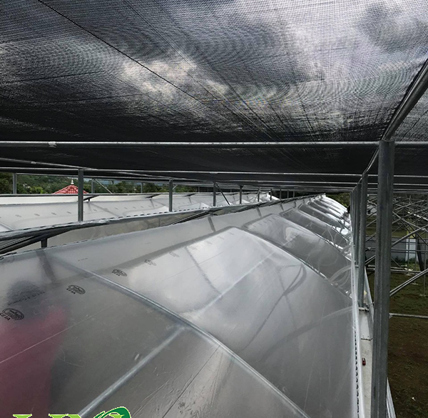 5 vật liệu chống nóng cho mái tôn vào mùa nắng | Lưới Che Nắng H.N.Q
